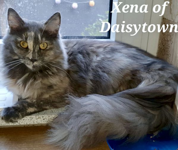 Xena